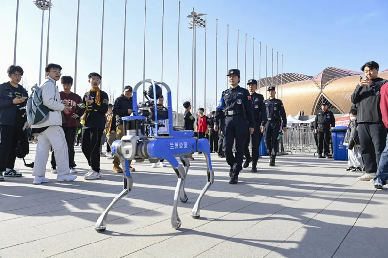 以“创”为笔，以“稳”为墨，甘肃这样绘就全域长治久安的时代画卷 